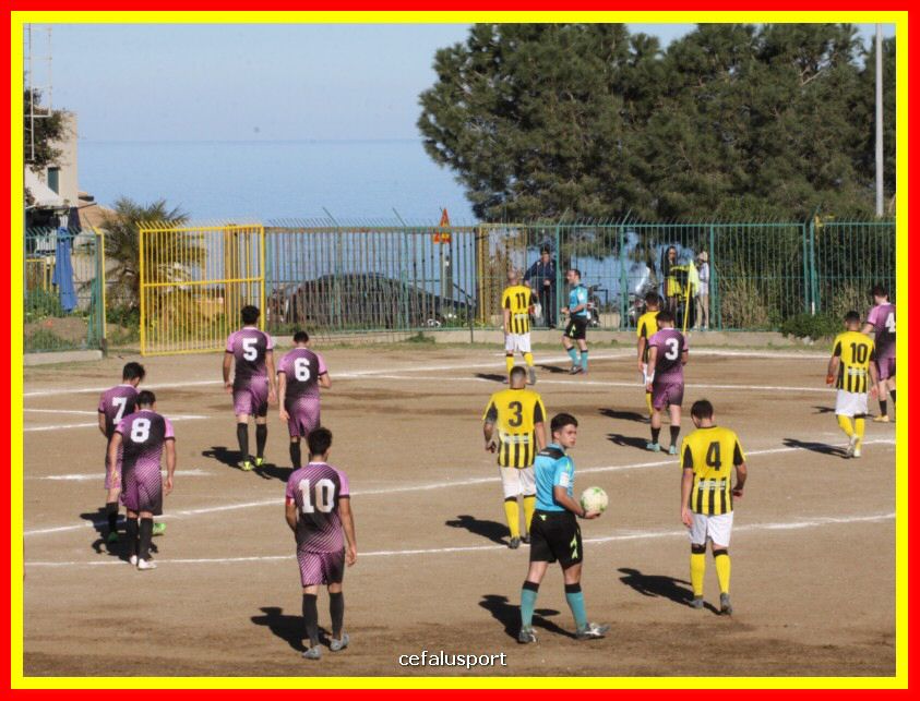 190310 Cephal_Torrenov 124_tn.jpg